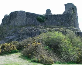 Montgomery Castle