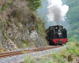 Vale of Rheidol Railway