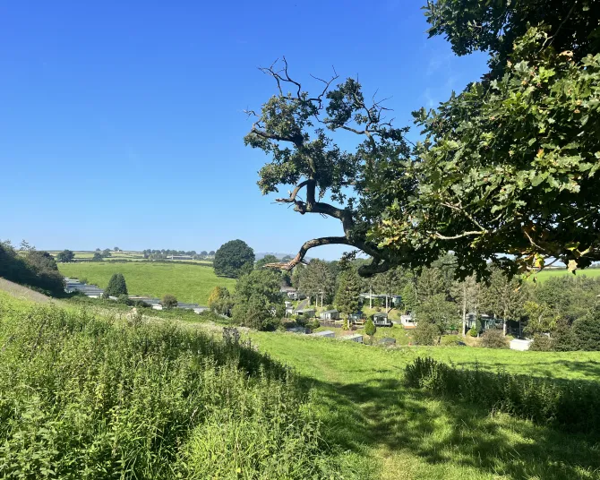 The Glen Caravan Park