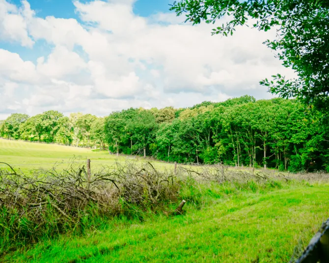 The Coppice