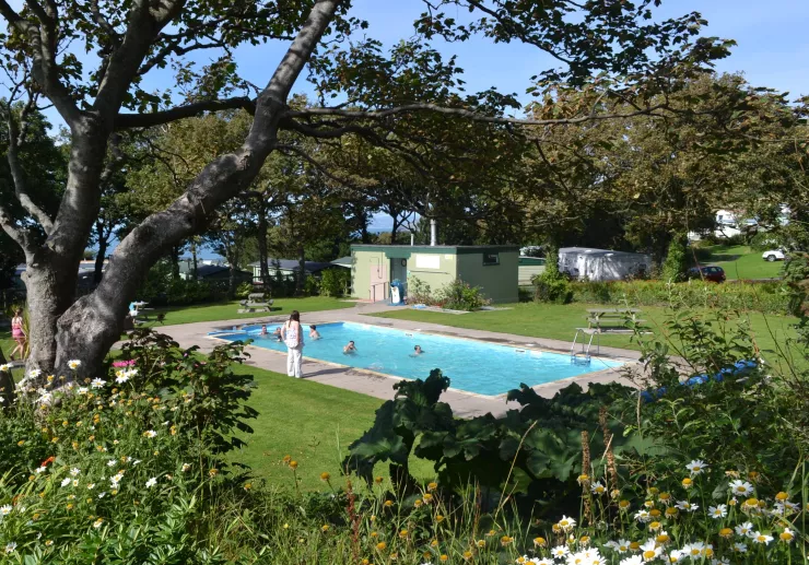 Old pool at Morfa Bychan